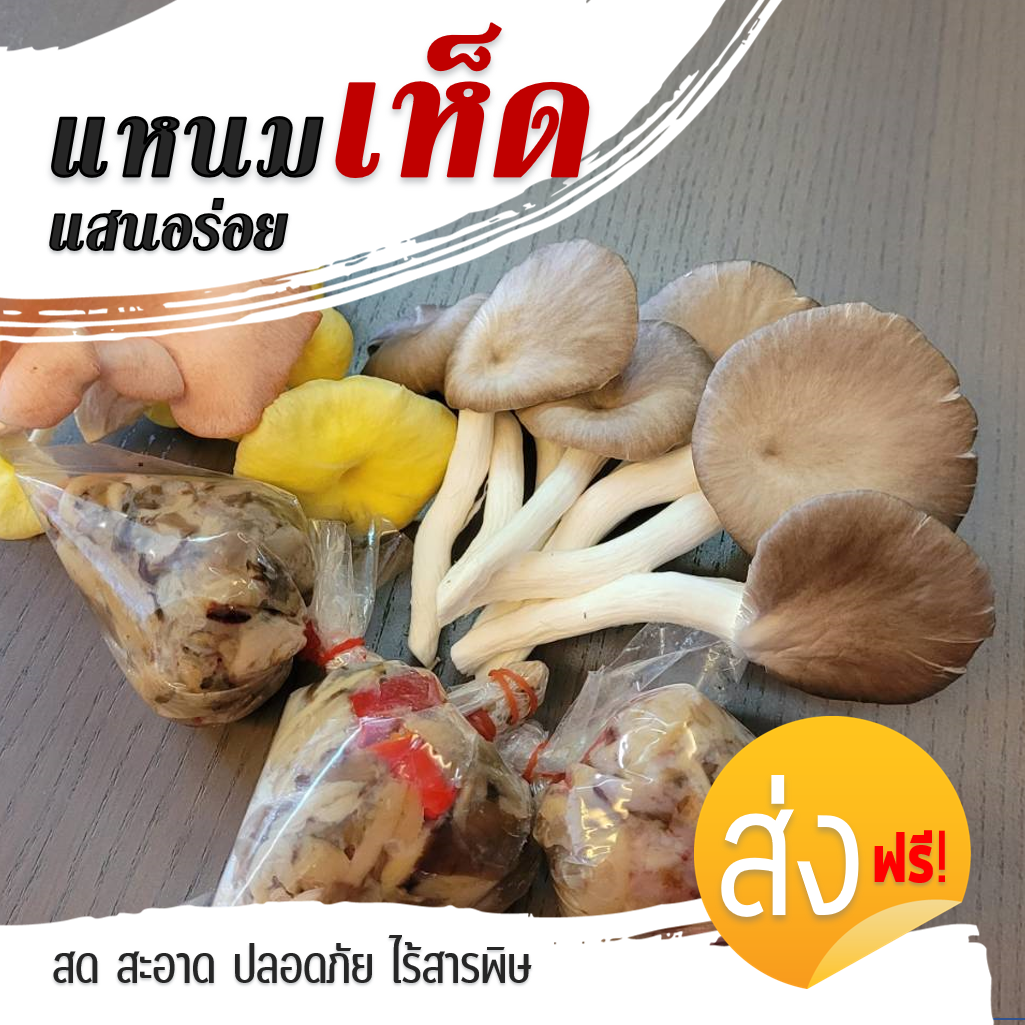 แหนมเห็ดสหกรณ์
