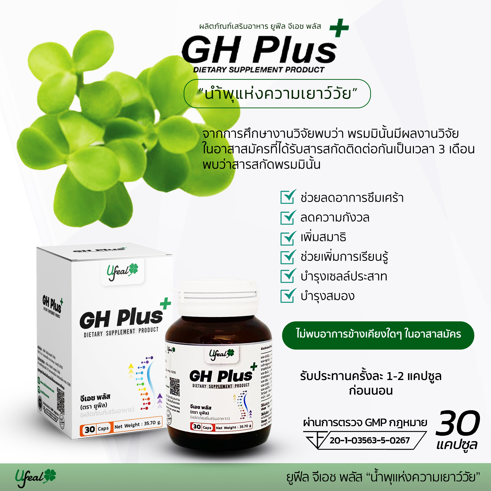GH-08